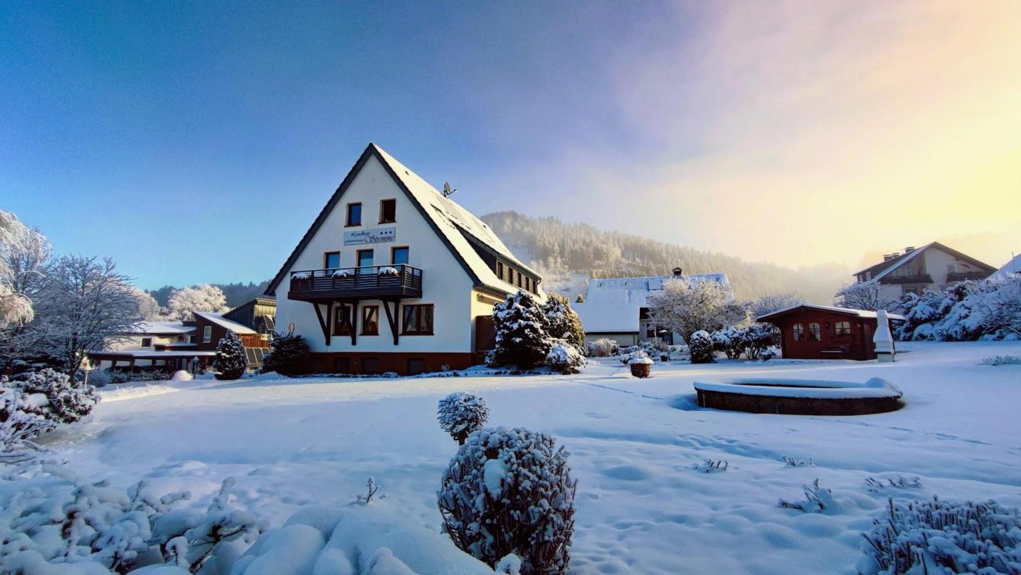 Landhaus Stremme Willingen  Exteriör bild